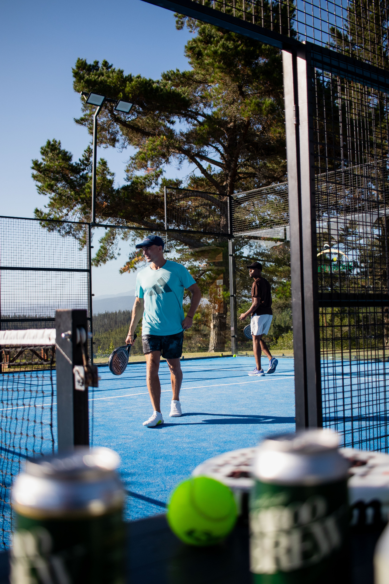 Padel court surrounded by pines